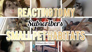 Reacting to my subscribers small pet enclosures [upl. by Mayhs763]