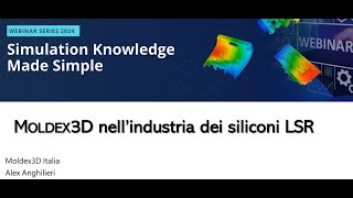 20241023 analisi e simulazione processi LSR Siliconi Mercoledì [upl. by Acira]