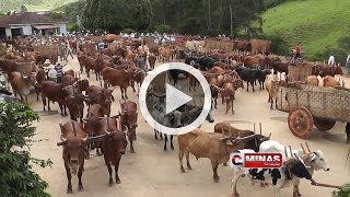 3º Encontro dos Carreiros acontece entre a Juréia e Mata do Sino [upl. by Dacie]