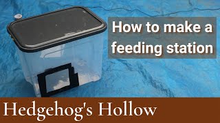 How To Make A Hedgehog Feeding Station  Hedgehogs Hollow [upl. by Christoph]