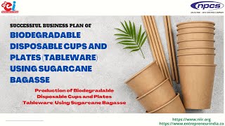 Business Plan Of Biodegradable Disposable Cups And Plates Tableware Using Sugarcane Bagasse [upl. by Atnoek]