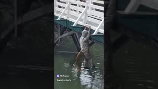 Что вообще происходит 😂 fishing carp рыбалка carpfishing карп рыбалка2024 carps рек fish [upl. by Christoffer]