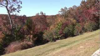 Amicalola Falls State Park  The Fall Colors [upl. by Gilbertine]