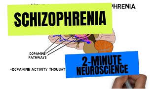 2Minute Neuroscience Schizophrenia [upl. by Leiria985]