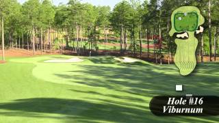 Sage Valley Golf Course  Hole 16 Overview [upl. by Wernher]