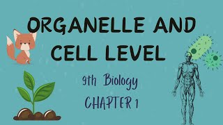 The Levels of Organization Organelle and cell level  Chapter 1  Biology Class 9th [upl. by Attennhoj35]