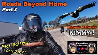 Roads Beyond Home Part 3  Flat Battery  Magpie Attacks Kimmy [upl. by Attiuqal]