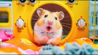 Hamster’s Daring Escape from the Iron Maze 🐹⚙️ Hamster Maze [upl. by Murvyn]