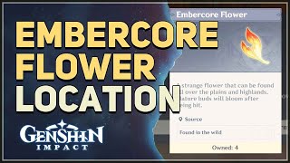 Embercore Flower Location Genshin Impact [upl. by Celeski763]