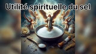 LE SEL ESTIL UNE ARME SPIRITUELLE  La vérité cachée du SEL dans la Bible [upl. by Ginny595]