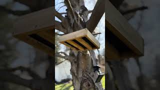 Wild Wings WWCF23 Cedar Tray Bird Feeder [upl. by Arrekahs172]