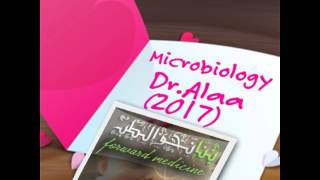 Microbiology DrAlaa 2017  Ch of Systematic bacteriology  Cocci  25 [upl. by Connel]