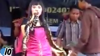 Singer Bitten By A Snake During Performance Dies [upl. by Delora659]