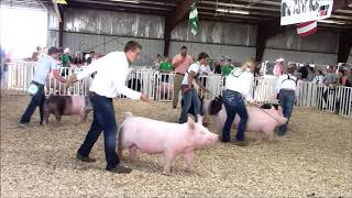 4H Swine Showmanship [upl. by Atiker]