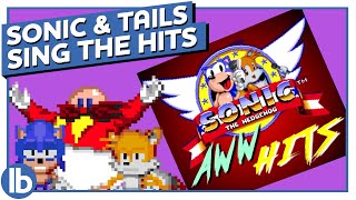 Sonic And Tails Sing The Hits [upl. by Sophi]