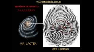 Como construir uma Espiral de Fibonacci [upl. by Burman143]