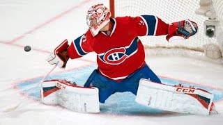 Best Saves in NHL History [upl. by Jacynth109]