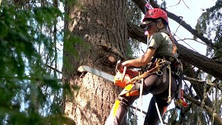 SpeedCut Nano  professional arborist saw chain [upl. by Oscar]