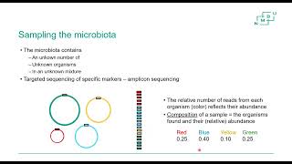 Module10metabarcoding [upl. by Anertak]