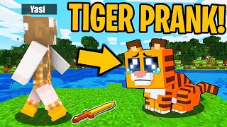 I PRANKED CeeGee as a TIGER in Minecraft [upl. by Nilsoj]