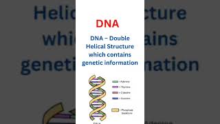 GCSE Biology Inheritance Variation and Evolution Revision by Mahima Laroyia [upl. by Ardnosac]