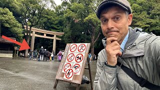 Tokyo Fallout from Vandalism at Meiji Shrine [upl. by Savvas]