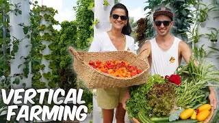 Vertical farming without soil [upl. by Jeana]