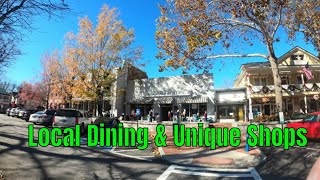 Historic Dahlonega GA and the Shops and Restaurants [upl. by Nitsoj]