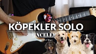 Duman  Köpekler Solo Yavaş Çalımlı [upl. by Assirralc546]