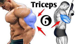 6 Best Exercises For Triceps  Triceps Workout [upl. by Tenom]