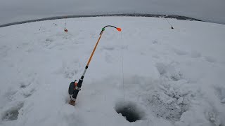 СНЕГОХОДЫ ТОНУТ НА ОЗЕРАХ ЗНАЧИТ РЫБАЧИМ НА ДАМБЕ  ice fishing [upl. by Turnbull]