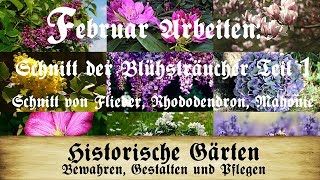 Arbeiten im Februar Blütensträucher TEIL 1 Flieder Rhododendron Mahonie schneiden [upl. by Aihseket]