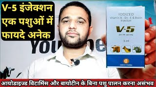 Vet Injection  V 5 injection veterinary uses in hindi [upl. by Vivle59]