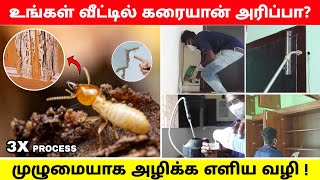 கரையான் அரிப்பா இனி இல்லை  anti termite treatment  pest control in home tamil  termite control [upl. by Phyllys]