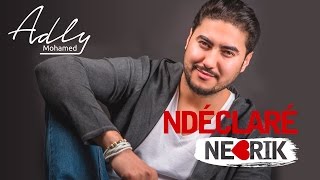 Mohamed Adly  Ndéclaré Nebrik EXCLUSIVE Lyric Clip  محمد عدلي  نديكلاري نبغيك حصريأ [upl. by Karlin740]