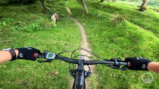 Is this the most beautiful MTB trail in Shropshire [upl. by Nichy863]