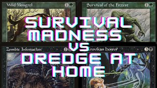 Survival Madness vs Dredge  PREMODERN MTG  Impulse Plays [upl. by Nuy]