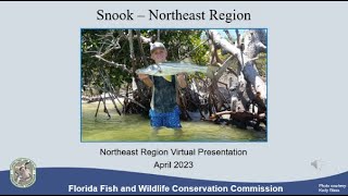 Snook  Northeast Region 2023 Recorded Presentation [upl. by Ailaroc808]