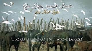 José León  quotLloró un Toro en HatoBlancoquot Que Dios reparta Suerte  Sevillanas  Flamenco [upl. by Ahsaei421]