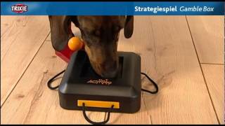 Hundespielzeug Strategiespiel Intelligenzspiel GambleBox Trixie [upl. by Lunseth]