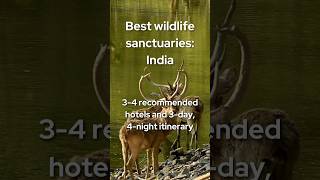 Top 4 Wildlife Sanctuaries in India to Visit [upl. by Ametaf]