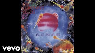 The Lightning Seeds  Sense Official Audio [upl. by Orpha]