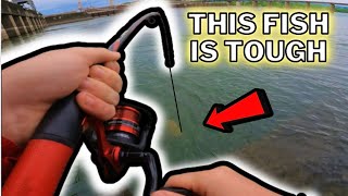 Battling STRONGEST FISH That No One Targets River Bank Fishing [upl. by Asirralc]