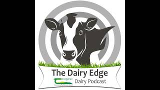 Let’s Talk Dairy Bonus Episode John Trant 2019 Young Grassland Farmer of the Year [upl. by Yblok161]