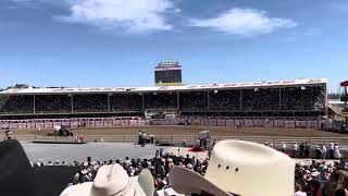 Calgary stampede rodeo sportsnet [upl. by Ahsatniuq]