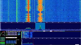 HDSDR  OMNIRig  SDRPlay  Yaesu FT450D [upl. by Dublin228]