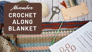 November TEMPERATURE BLANKET Stitch of the Month Undulating Wave Stitch [upl. by Anaz546]