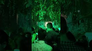 Jungle book theme Pandaal Jabalpur [upl. by Asik94]