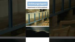 Strömungsrippeln Entstehung Bedeutung [upl. by Bortz]