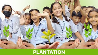 Plantation Day  Class5 [upl. by Goodden387]